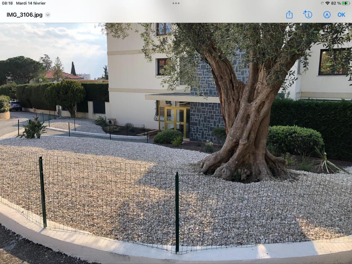 Beautiful T3 Terrasse Nisa Exterior foto